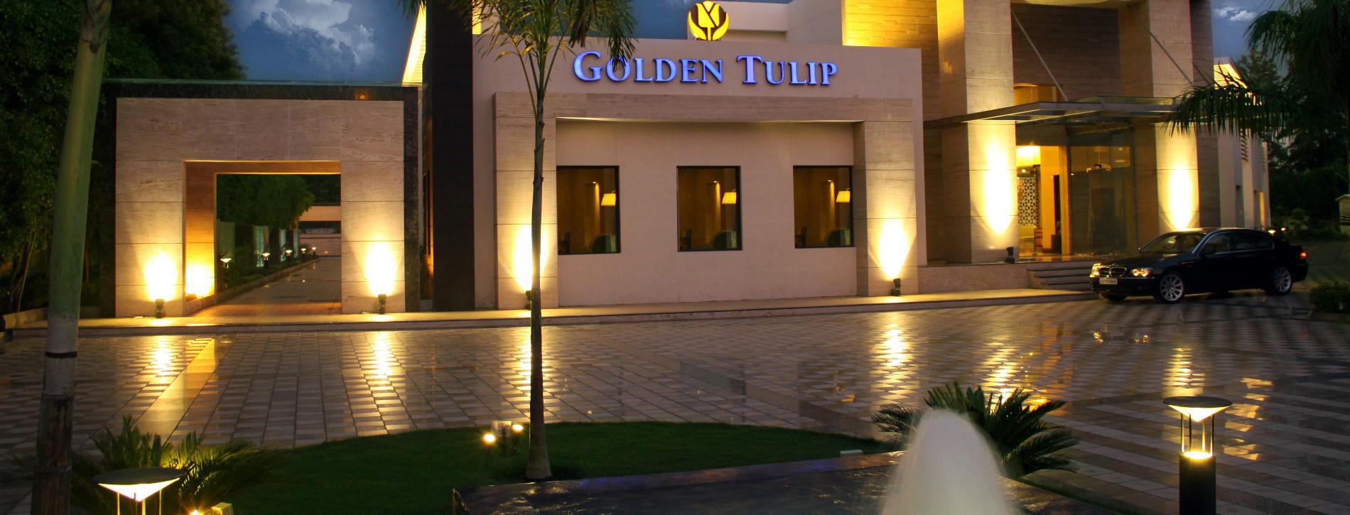TULIP GARDEN
